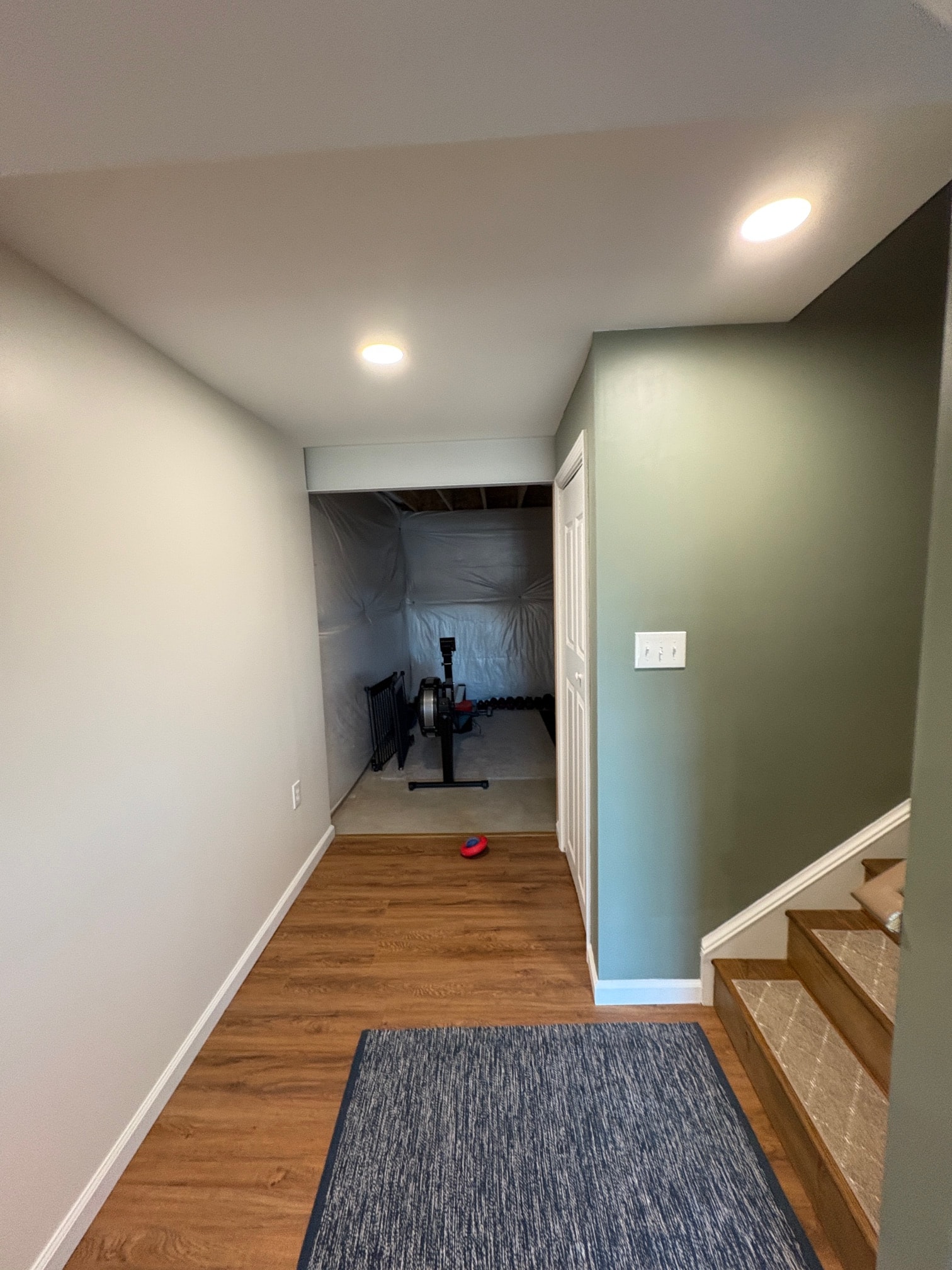 Finished basement staircase and lower level view