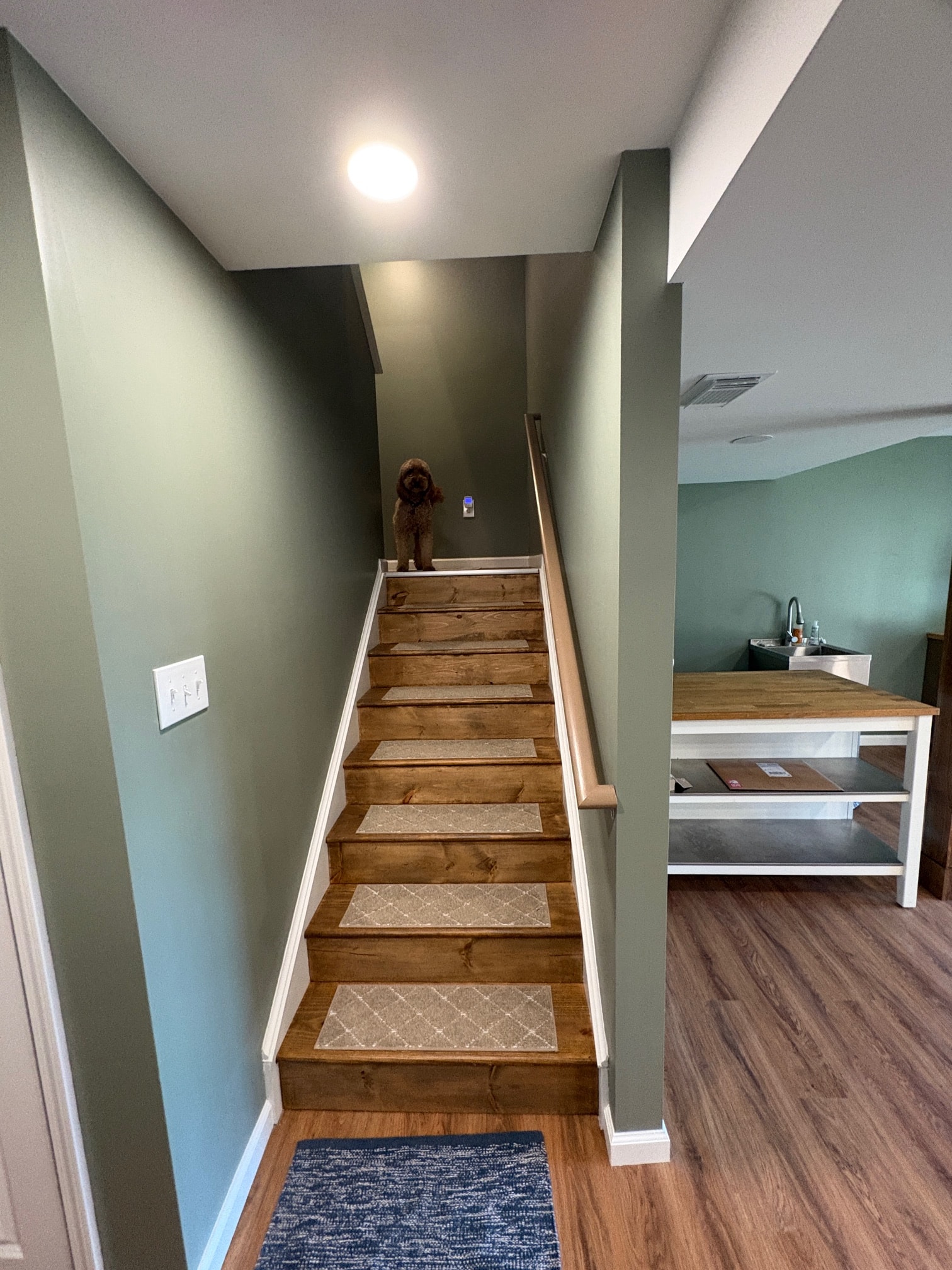 Finished basement hallway with accent wall and wood flooring