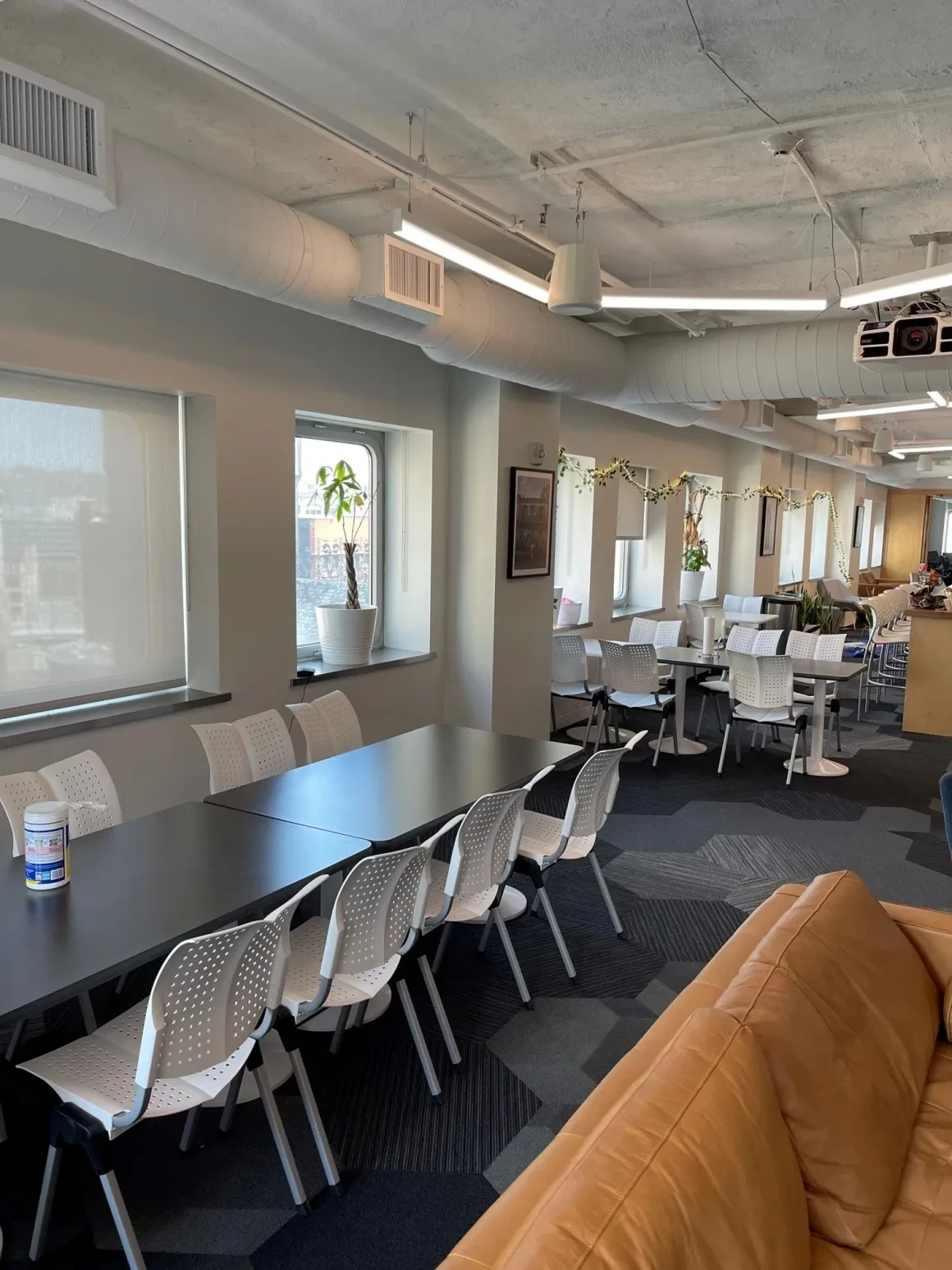 Open office workspace with blue accent wall, whiteboard, and snake plants