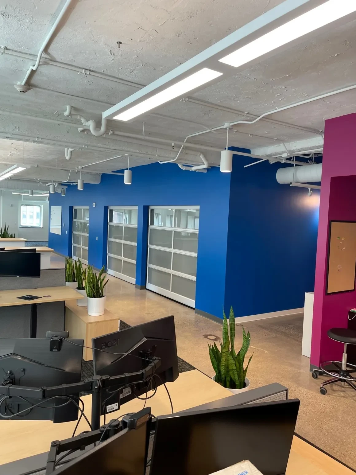 Hallway with magenta and blue accent walls and framed artwork gallery