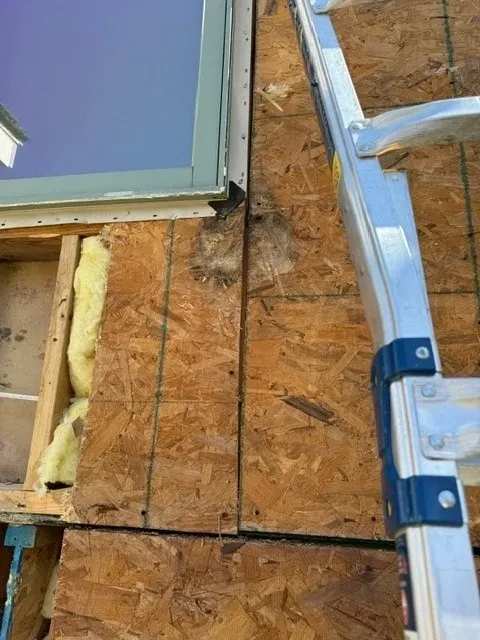 Water-damaged OSB sheathing and insulation exposed on exterior wall